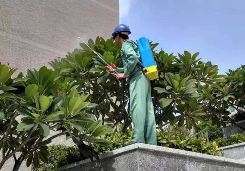 贵阳物业公司行业动态一览
